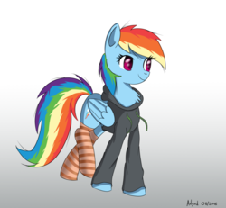 Size: 1000x925 | Tagged: safe, artist:ailynd, rainbow dash, pegasus, pony, g4, clothes, female, hoodie, socks, solo, striped socks