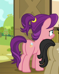 Size: 389x487 | Tagged: safe, screencap, filthy rich, spoiled rich, pony, g4, where the apple lies, butt, cropped, dollar sign, female, mare, plot, ship:spoilthy, spoiled milk