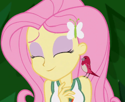 Size: 657x537 | Tagged: safe, screencap, fluttershy, bird, songbird, equestria girls, g4, my little pony equestria girls: legend of everfree, animated, clothes, cropped, cute, eyes closed, female, gif, nodding, party soft, shyabetes, tank top