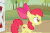 Size: 580x378 | Tagged: safe, screencap, apple bloom, earth pony, pony, g4, season 6, where the apple lies, animated, cutie mark, female, filly, foal, gif, jumping, solo, surprised, the cmc's cutie marks