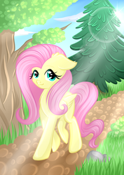 Size: 2893x4092 | Tagged: safe, artist:nuumia, fluttershy, pony, g4, :3, cute, female, floppy ears, forest, grass, path, shyabetes, solo, tree