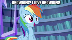 Size: 888x499 | Tagged: safe, edit, edited screencap, screencap, rainbow dash, g4, my little pony: friendship is magic, scare master, female, image macro, meme, solo