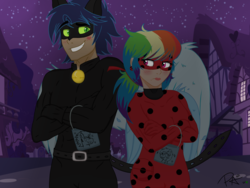 Size: 2048x1536 | Tagged: safe, artist:pimpartist101, rainbow dash, soarin', equestria girls, g4, clothes, costume, ladynoir, male, miraculous ladybug, nightmare night, ponyville, ship:soarindash, shipping, straight