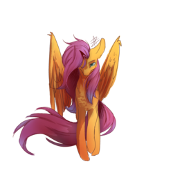 Size: 1600x1600 | Tagged: safe, artist:myralilth, fluttershy, g4, female, simple background, solo, spread wings, transparent background