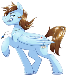 Size: 1583x1789 | Tagged: safe, artist:vampireselene13, oc, oc only, oc:sorren, pegasus, pony, jewelry, male, necklace, profile, raised eyebrow, smirk, smug, solo, stallion, unshorn fetlocks