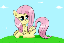 Size: 900x600 | Tagged: safe, artist:sonikku001, fluttershy, g4, female, prone, solo