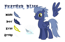 Size: 5091x3321 | Tagged: safe, artist:drakizora, oc, oc only, oc:feather bliss, pony, male, reference sheet, simple background, solo, stallion, transparent background