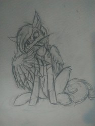 Size: 2448x3264 | Tagged: safe, artist:polakz, oc, oc only, pegasus, pony, high res, monochrome, preening, solo, traditional art
