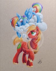 Size: 631x800 | Tagged: safe, artist:zene, big macintosh, rainbow dash, earth pony, pony, bronycon 2016, g4, commission, male, ship:rainbowmac, shipping, stallion, straight