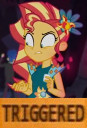 Size: 465x679 | Tagged: safe, edit, edited screencap, screencap, flash sentry, sunset shimmer, equestria girls, g4, legend of everfree - bloopers, my little pony equestria girls: legend of everfree, cropped, crystal gala dress, female, meme, reaction image, solo, triggered