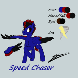 Size: 4000x4000 | Tagged: safe, artist:speed-chaser, oc, oc only, oc:speed chaser, pegasus, pony, reference sheet, solo