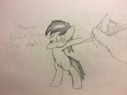 Size: 4032x3024 | Tagged: safe, artist:mranthony2, oc, oc only, oc:lemon bounce, pony, dab, dialogue, drawn into existence, fourth wall destruction, monochrome, offscreen character, pencil, traditional art