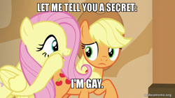 Size: 800x450 | Tagged: safe, edit, edited screencap, screencap, applejack, fluttershy, g4, viva las pegasus, female, image macro, lesbian, makeameme.org, meme