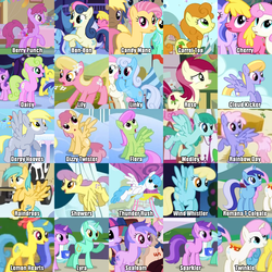 Size: 1000x1000 | Tagged: safe, edit, edited screencap, screencap, amethyst star, berry punch, berryshine, bon bon, candy mane, carrot top, cherry berry, cloud kicker, daisy, derpy hooves, dizzy twister, flower wishes, golden harvest, lemon hearts, lightning bolt, lily, lily valley, linky, lyra heartstrings, merry may, minuette, orange swirl, parasol, rainbowshine, roseluck, sassaflash, sea swirl, seafoam, shoeshine, sparkler, spring melody, sprinkle medley, sunshower raindrops, sweetie drops, thunder rush, twinkleshine, white lightning, earth pony, pegasus, pony, unicorn, applebuck season, call of the cutie, feeling pinkie keen, friendship is magic, g4, season 1, sonic rainboom (episode), swarm of the century, winter wrap up, artifact, background pony, background pony chart, collage, cropped, female, flower trio, mare, naming, old names, romana, showers, solo focus, wall of tags