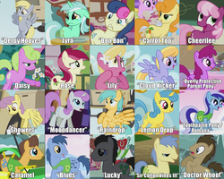 Size: 1000x800 | Tagged: safe, edit, edited screencap, screencap, amethyst star, berry punch, berryshine, blues, bon bon, caramel, carrot top, cheerilee, cloud kicker, daisy, derpy hooves, doctor whooves, flower wishes, golden harvest, goldengrape, lemon hearts, lily, lily valley, lucky clover, lyra heartstrings, minuette, noteworthy, parasol, roseluck, sir colton vines iii, sparkler, sunshower raindrops, sweetie drops, time turner, twinkleshine, earth pony, pegasus, pony, unicorn, boast busters, call of the cutie, feeling pinkie keen, friendship is magic, g4, season 1, sonic rainboom (episode), swarm of the century, winter wrap up, artifact, background pony, background pony chart, fanon, flower trio, flying, hilarious in hindsight, image macro, lucky, meme, names, naming, old names, overly protective parent pony, showers, showers (character), solo focus, wall of tags