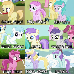 Size: 753x753 | Tagged: safe, edit, edited screencap, screencap, alula, aura (g4), cotton cloudy, dinky hooves, liza doolots, noi, petunia, piña colada, pluto, ruby pinch, tootsie flute, tornado bolt, earth pony, pegasus, pony, unicorn, call of the cutie, lesson zero, the cutie pox, the mysterious mare do well, winter wrap up, artifact, background pony, background pony chart, collage, cropped, female, filly, foal, naming, old names, piña cutelada