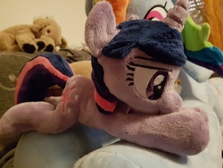 Size: 4032x3024 | Tagged: safe, artist:alayasyazoo, rainbow dash, twilight sparkle, g4, irl, photo, plushie, solo focus