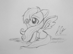 Size: 1147x860 | Tagged: safe, artist:crystalaquamuffin, fluttershy, butterfly, g4, cute, female, filly, insect on nose, monochrome, pencil drawing, profile, shyabetes, sitting, solo, spread wings, traditional art
