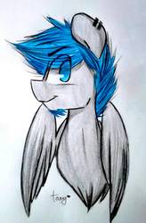 Size: 1252x1913 | Tagged: safe, artist:tamyarts, oc, oc only, pegasus, pony, bust, portrait, solo