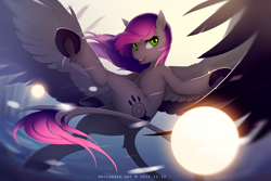 Size: 2600x1733 | Tagged: safe, artist:antiander, oc, oc only, oc:evening howler, pegasus, pony, butt, colored wings, colored wingtips, dreamcatcher, featureless crotch, female, flying, large wings, leonine tail, looking at you, mare, open mouth, plot, raised leg, solo, spread wings, underhoof, upside down, windswept mane, wings