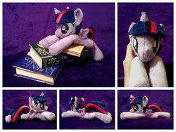 Size: 1600x1200 | Tagged: safe, artist:equinepalette, twilight sparkle, alicorn, pony, g4, beanie (plushie), book, irl, photo, plushie, prone, solo, twilight sparkle (alicorn)