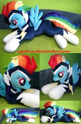 Size: 1024x1561 | Tagged: safe, artist:agatrix, rainbow dash, zapp, g4, irl, life size, photo, plushie, solo