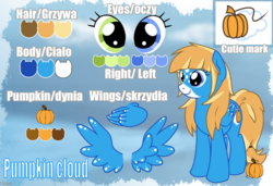 Size: 1352x924 | Tagged: safe, artist:kotelen, oc, oc only, oc:pumpkin cloud, pegasus, pony, blue, heterochromia, polish, reference sheet, solo