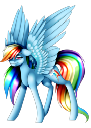 Size: 1220x1700 | Tagged: safe, artist:minelvi, rainbow dash, pegasus, pony, g4, backwards cutie mark, female, floppy ears, mare, simple background, solo, spread wings, transparent background, unamused