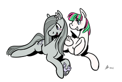 Size: 1280x855 | Tagged: safe, artist:rwl, blossomforth, marble pie, earth pony, pegasus, pony, g4, blushing, crack shipping, female, flower, flower in hair, lesbian, marbleforth, open mouth, present, prone, shipping, simple background, smiling, white background