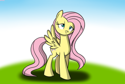 Size: 2000x1350 | Tagged: safe, artist:mofetafrombrooklyn, fluttershy, g4, calm, female, solo