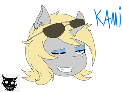 Size: 800x600 | Tagged: safe, artist:exile, oc, oc only, oc:kami, pony, unicorn, bust, head, one eye closed, redesign, simple background, solo, sunglasses, white background, wink