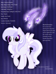 Size: 1536x2048 | Tagged: safe, artist:prismaticstars, oc, oc only, oc:starstorm slumber, pegasus, pony, cutie mark, looking at you, reference sheet, solo