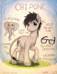 Size: 1056x1356 | Tagged: safe, artist:thefriendlyelephant, oc, oc only, oc:obi, earth pony, elephant, pony, elephant tail, glasses, grass, reference sheet, species swap, traditional art, unshorn fetlocks