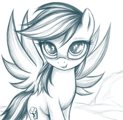 Size: 600x586 | Tagged: safe, artist:rainbow, edit, rainbow dash, g4, beautiful, bedroom eyes, cropped, female, looking at you, pretty, sketch, solo, spread wings