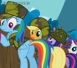 Size: 480x429 | Tagged: safe, edit, screencap, applejack, rainbow dash, twilight sparkle, pegasus, pony, g4, animated, blushing, bottomless, butt, chinese, clothes, eyes on the prize, female, gif, lesbian, looking at butt, mare, partial nudity, plot, rainbutt dash, ship:appledash, shipping, twibutt, we don't normally wear clothes