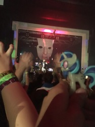 Size: 4032x3024 | Tagged: safe, dj pon-3, vinyl scratch, human, g4, angerfist, concert, figure, irl, irl human, mask, merchandise, photo