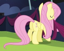 Size: 369x296 | Tagged: safe, screencap, fluttershy, pegasus, pony, g4, the mane attraction, butt, cropped, female, flutterbutt, folded wings, mare, mouth hold, plot, solo, wings