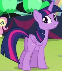 Size: 288x330 | Tagged: safe, screencap, fluttershy, twilight sparkle, alicorn, pony, g4, my little pony: friendship is magic, the mane attraction, butt, cropped, female, mare, plot, solo focus, twibutt, twilight sparkle (alicorn)