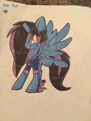 Size: 1024x1365 | Tagged: safe, artist:umiimou, twilight sparkle, oc, alicorn, pegasus, pony, g4, clothes, plushie, shirt, traditional art, twilight sparkle (alicorn)