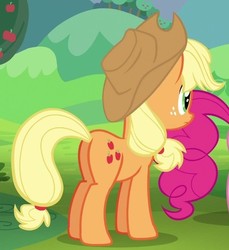 Size: 500x546 | Tagged: safe, screencap, applejack, pinkie pie, earth pony, pony, g4, the mane attraction, butt, cropped, female, freckles, mare, offscreen character, plot, solo focus