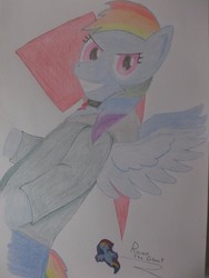 Size: 768x1024 | Tagged: safe, artist:raventheghost, rainbow dash, g4, female, loyalty, solo