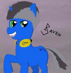 Size: 981x1024 | Tagged: safe, artist:raventheghost, oc, oc only, oc:raven blake, solo