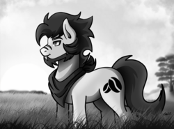 Size: 2919x2160 | Tagged: safe, artist:ciderpunk, derpibooru exclusive, oc, oc only, oc:coldbrewcoffee, black and white, clothes, field, grayscale, high res, monochrome, scarf, solo