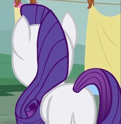 Size: 505x517 | Tagged: safe, screencap, rarity, pony, unicorn, g4, sisterhooves social, butt, cropped, featureless crotch, female, mare, plot, rear view, solo