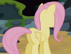 Size: 390x300 | Tagged: safe, screencap, fluttershy, pegasus, pony, g4, spike at your service, butt, cropped, female, flutterbutt, folded wings, mare, plot, solo, wings