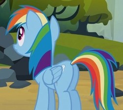 Size: 361x323 | Tagged: safe, screencap, rainbow dash, pegasus, pony, g4, spike at your service, butt, cropped, female, looking up, mare, plot, solo