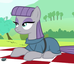 Size: 437x380 | Tagged: safe, screencap, boulder (g4), maud pie, earth pony, pony, g4, maud pie (episode), cropped, female, picnic blanket, solo