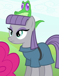 Size: 320x412 | Tagged: safe, screencap, gummy, maud pie, pinkie pie, earth pony, pony, g4, maud pie (episode), cropped