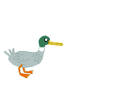 Size: 277x211 | Tagged: safe, artist:watermelon changeling, derpibooru exclusive, bird, duck, mallard, animated, gif, male, ms paint, op is a duck (reaction image), open mouth, quack, simple background, solo, speech bubble, white background
