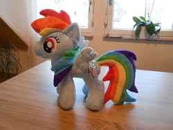 Size: 922x692 | Tagged: safe, artist:varonya, rainbow dash, g4, irl, photo, plushie, solo